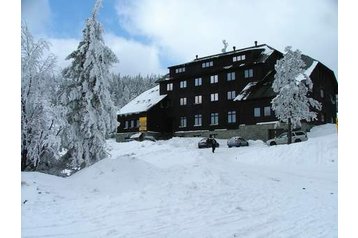 Czechy Byt Kouty nad Desnou, Zewnątrz